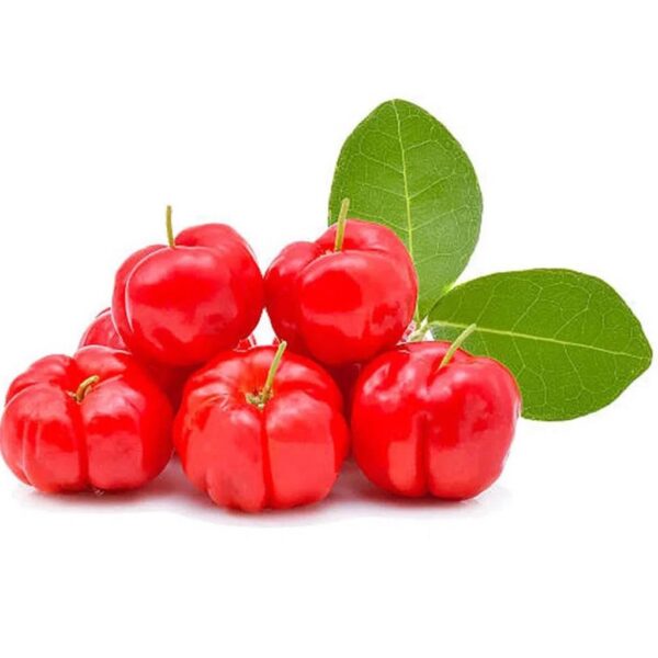 Muda Acerola