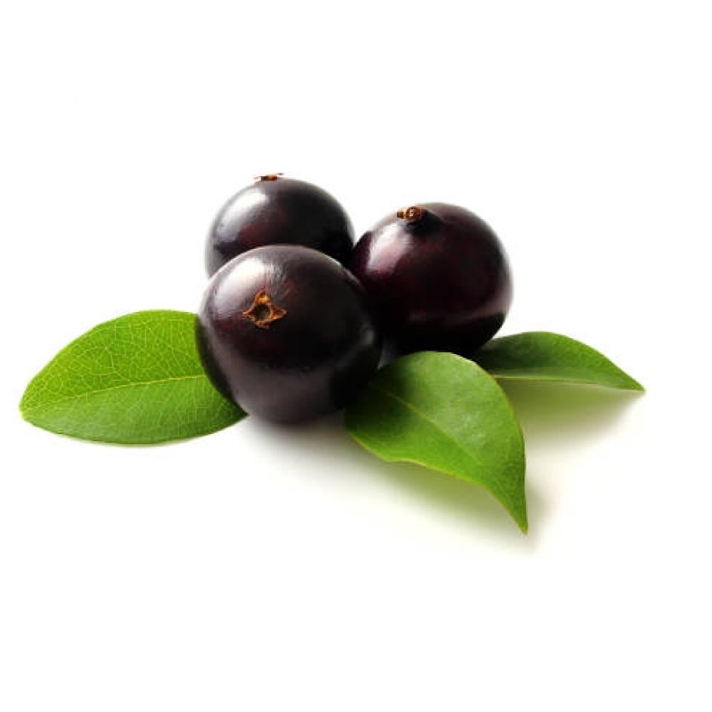 Mudas de Jabuticaba