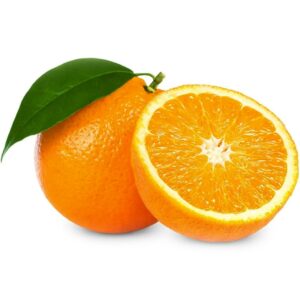 Muda de Laranja Açúcar Enxertada