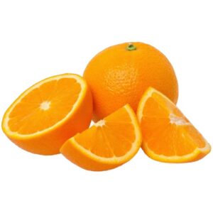 Muda de Laranja Bahia Enxertada